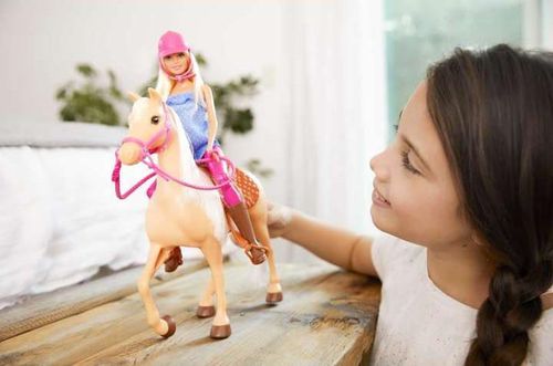 купить Кукла Barbie FXH13 в Кишинёве 