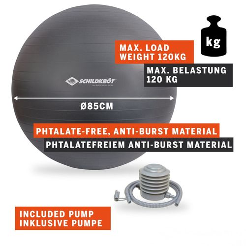 купить Мяч Donic SL-00013825 Minge gimnastica cu pompa d=85cm Schildkrot 960158 в Кишинёве 