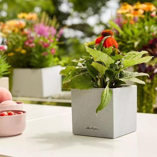 cumpără Ghiveci pentru flori Lechuza Canto Stone 14, Quartz White în Chișinău 