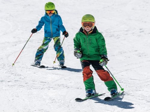 cumpără Schiuri Elan Jett Jr Shift El 4.5 GW 120 (AFDMAF25 120) în Chișinău 