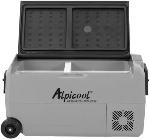 купить Холодильник портативный Frigo 19-T36 36 L для дома и авто 12/24V AC 110-240V with APP в Кишинёве 