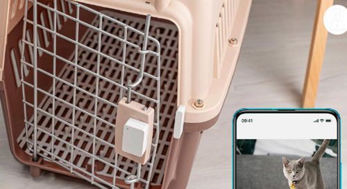 cumpără Senzor pentru uși și geamuri Xiaomi Self-Install Smart Lock EU în Chișinău 