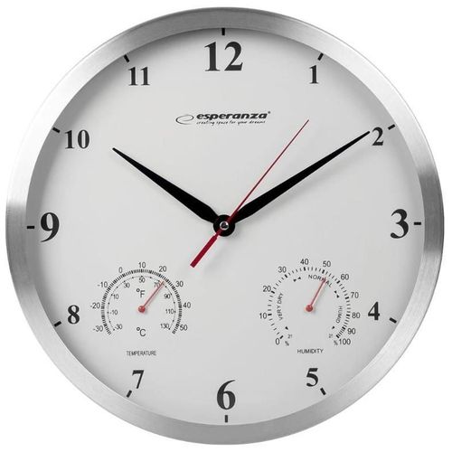 купить Часы Esperanza EHC008W в Кишинёве 