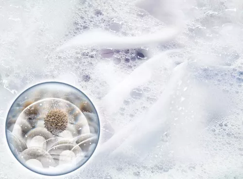 купить Стиральная и сушильная машины Samsung WW11DG6B25LEU4 + DV90T6240LE/S7 в Кишинёве 