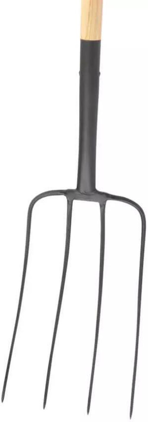 купить Грабли Hoteche 376221 Вилы с 4 зубьями дерев.черенок 1200мм в Кишинёве 