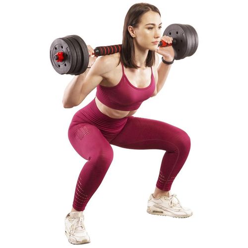 купить Гантель HMS SGP15 bara+disc compozite 15kg в Кишинёве 