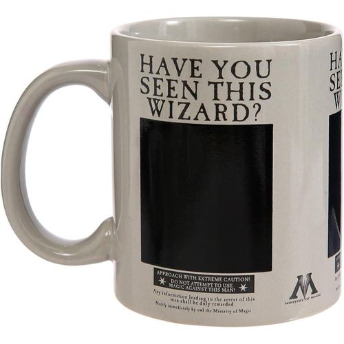 cumpără Cană Pyramid International SCMG25012 HARRY POTTER (WANTED SIRIUS) HEAT CHANGE MUG în Chișinău 