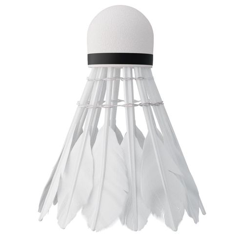 cumpără Echipament pentru badminton Nils SL-00014261 Fluturs badminton pana (6 buc.) NBL6206 14-30-132 în Chișinău 