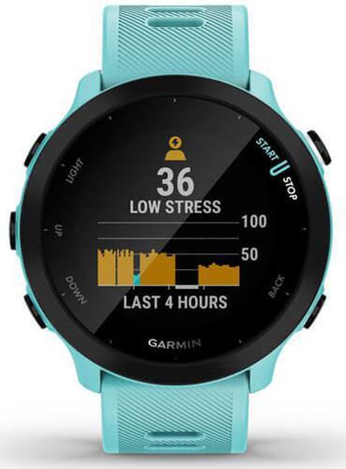 cumpără Ceas inteligent Garmin Forerunner® 55 (010-02562-12) în Chișinău 