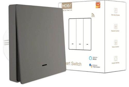 купить Выключатель электрический Moes ZS-SR-EU1-GY-MS в Кишинёве 