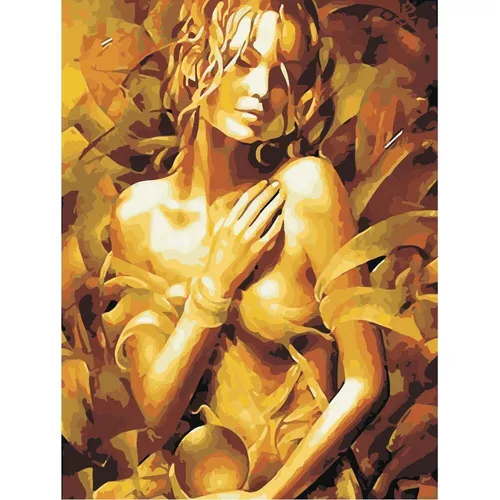 купить Картина по номерам Richi (03932) Fata in aur 40x50 в Кишинёве 