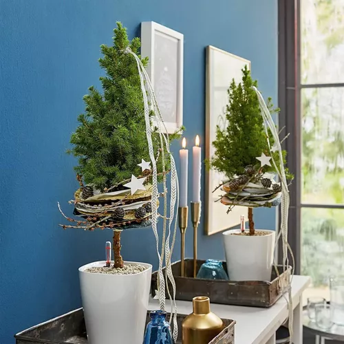 cumpără Ghiveci pentru flori Lechuza Deltini Premium, White în Chișinău 