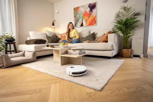 cumpără Perie pentru aspirator Karcher 2.269-671.0 RCV 2 în Chișinău 