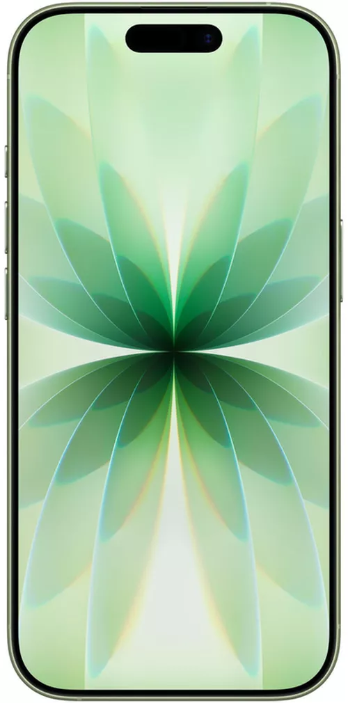 cumpără Smartphone Apple iPhone 17 256GB Sage MG6N4 în Chișinău 