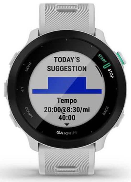 купить Смарт часы Garmin Forerunner® 55 (010-02562-11) в Кишинёве 