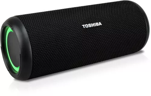 купить Колонка портативная Bluetooth Toshiba TY-WSP201 в Кишинёве 