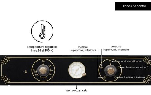 купить Встраиваемый духовой шкаф электрический Hausberg HB-8055RST RUSTIC negru в Кишинёве 