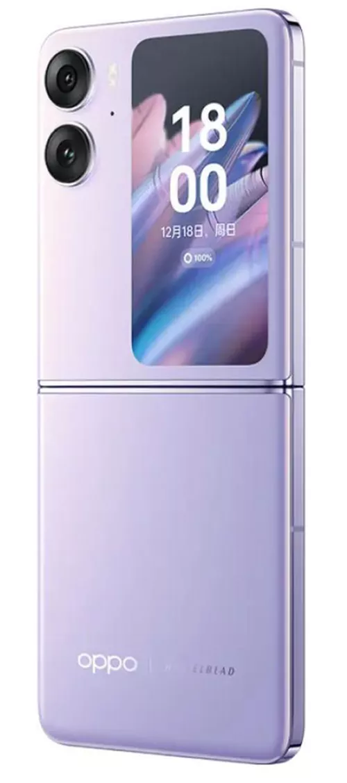 купить Смартфон OPPO Find N2 Flip 5G Purple в Кишинёве 