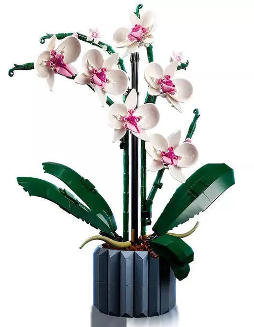 купить Конструктор Lego 10311 Orchid в Кишинёве 