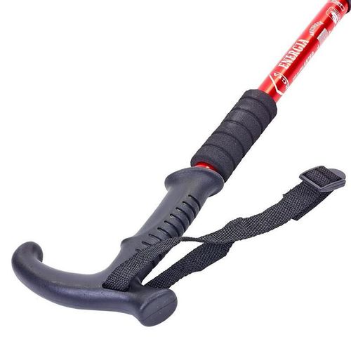 купить Треккинговые палки Arena 91053 черная в Кишинёве 