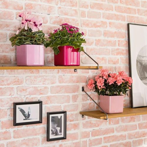 купить Цветочный горшок Lechuza Cube Glossy 14, Cherry Pie Glitter в Кишинёве 