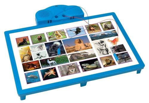 купить Настольная игра Noriel NOR4406 Cine Stie Castiga - Regatul Animalelor в Кишинёве 