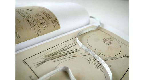 cumpără Alexander von Humboldt The Complete Drawings from the American Travel Diaries în Chișinău 