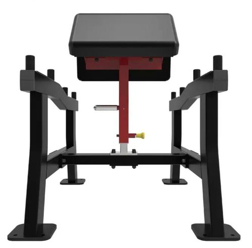 купить Силовой комплекс Impulse 54760 Arm Curl Sl7018 в Кишинёве 