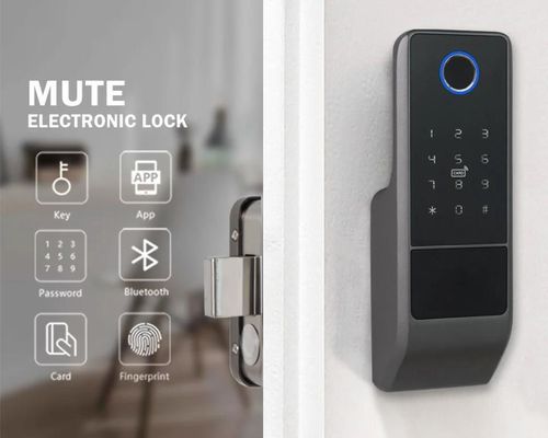 cumpără Lacat inteligent TTLock G23, для калиток în Chișinău 
