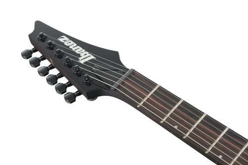 купить Гитара Ibanez RGD61ALA MTR Axion Label (Midnight tropical rainforest) в Кишинёве 