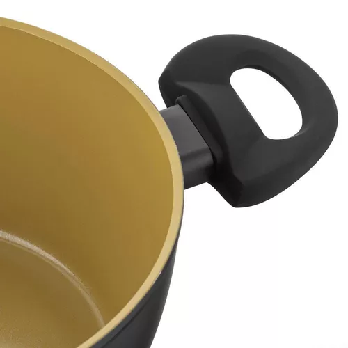 купить Кастрюля Florina Amvegan 24 cm 3,6l Mg в Кишинёве 