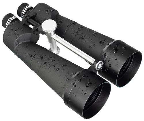 купить Бинокль Levenhuk Bruno PLUS 25x100 Binoculars в Кишинёве 