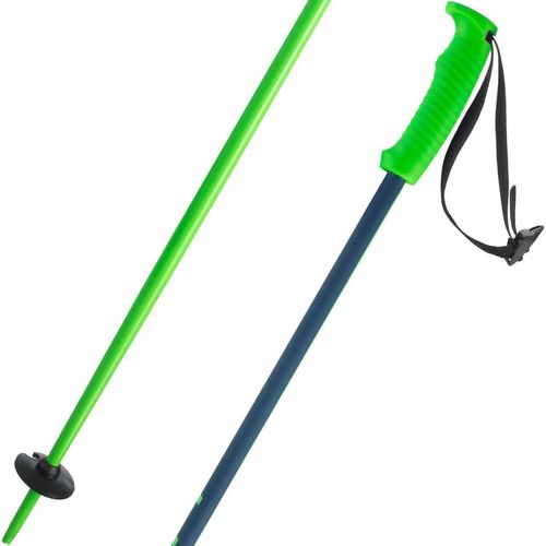 купить Лыжные палки Elan SPEED ROD green 135 в Кишинёве 