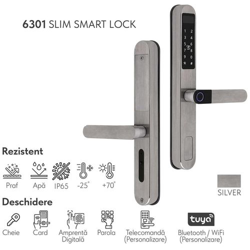 купить Умный дверной замок ArtFlame 6301 Slim smart lock в Кишинёве 