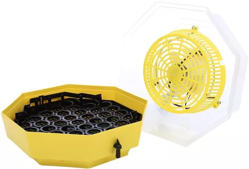 купить Товар для животных Technoworker Incubator cu dispozitiv de intoarcere oua si termometru CLEO 5DT/ INC3 (84362100) в Кишинёве 