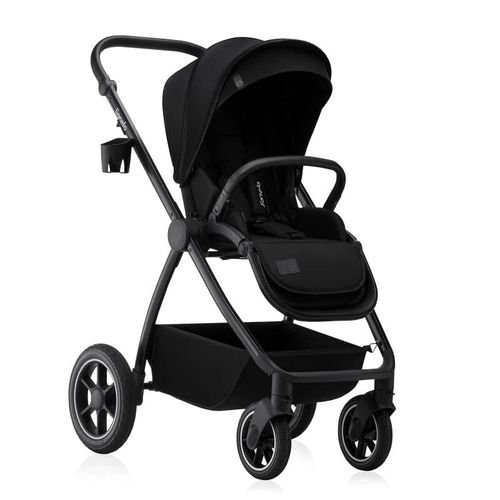 купить Детская коляска Lionelo Carucior 2in1 Meril Black Onyx в Кишинёве 