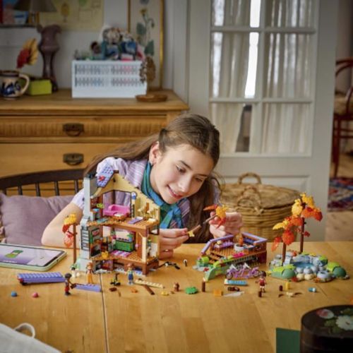 купить Конструктор Lego 42705 Friends. Cabană confortabilă în pădure în toamnă в Кишинёве 