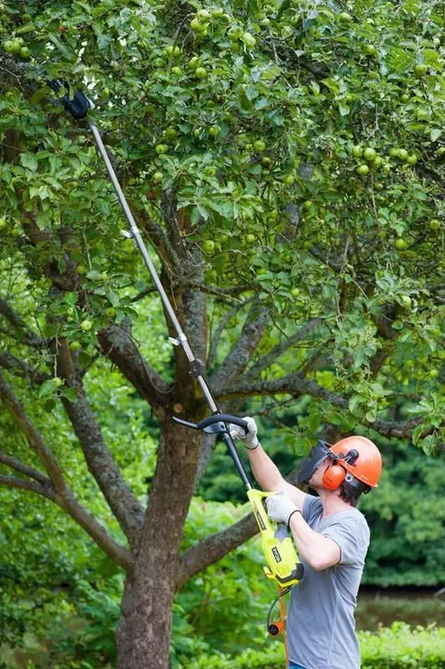 купить Кусторез RYOBI RXPR01 Adaptor pu taiere crengilor 5132002797 в Кишинёве 