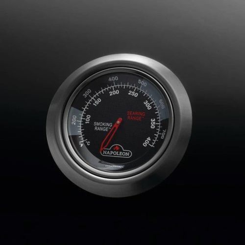 cumpără Grătar Napoleon Gratar pe gaz Legend 365 cu aragaz lateral (LD365SBPK-CZ) în Chișinău 