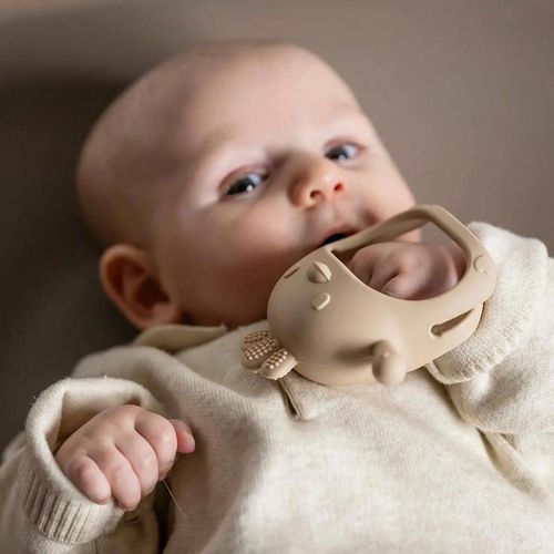 cumpără Iinel dentiție Nattou 874571 Silicone Teether beige în Chișinău 