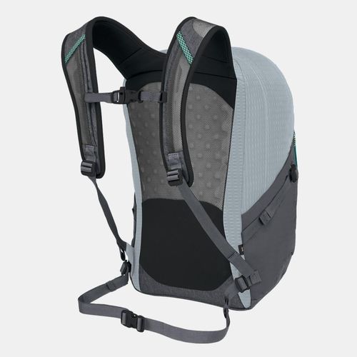 cumpără Rucsac pentru oraș Osprey Quasar 26 Silver Lining/Tunnel Vision în Chișinău 