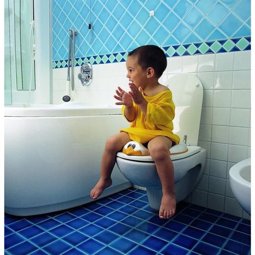 купить Детский горшок OK Baby 37856801 Reductor pentru WC Ratusca в Кишинёве 