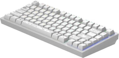 купить Игровая клавиатура Dark Project ALU Terra Nova White - Wireless в Кишинёве 