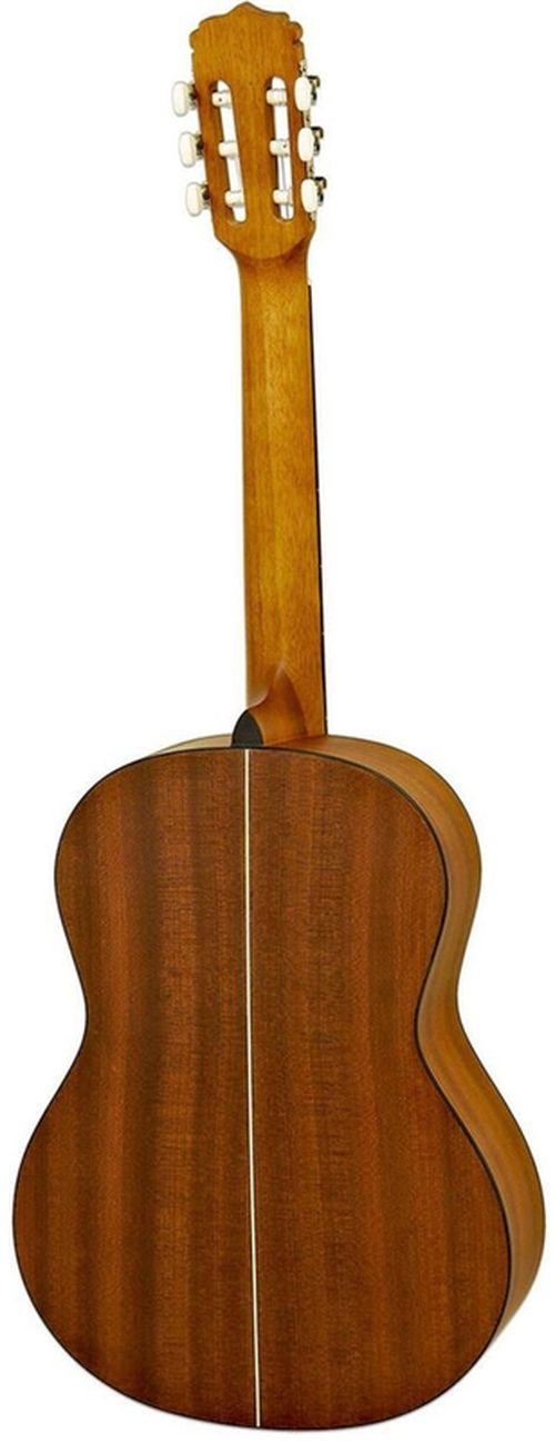 купить Гитара Aria A-10 MTN Chitara Classic в Кишинёве 