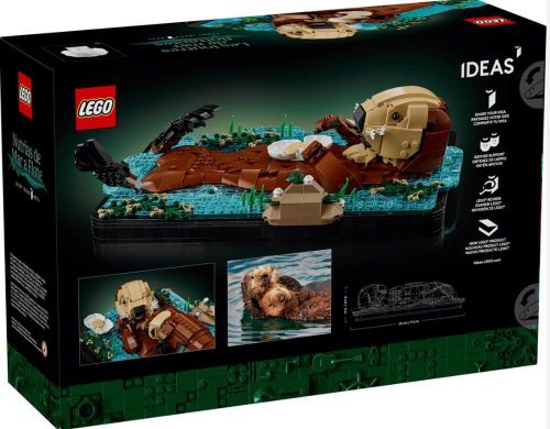 cumpără Set de construcție Lego 21366 Floating Sea Otters în Chișinău 