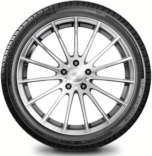 купить Шина Tourador 245/40 R19 X All Climate TF1 Z 98Y XL в Кишинёве 