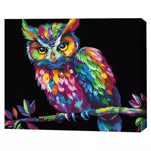 cumpără Tablou pe numere BrushMe BSB0016FC (fără cutie) Înțelepciunea culorilor în Chișinău 