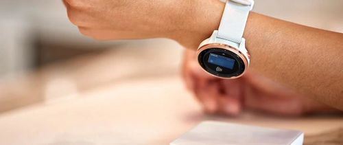 купить Фитнес-трекер Garmin vivoactive 4S White/Rose Gold, S.EU в Кишинёве 