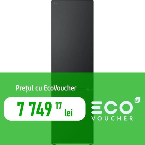 cumpără Frigider cu congelator jos LG GBV7280CEV în Chișinău 