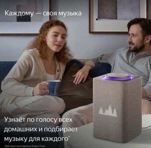 купить Колонка портативная Bluetooth Yandex YNDX-00053E Beige в Кишинёве 